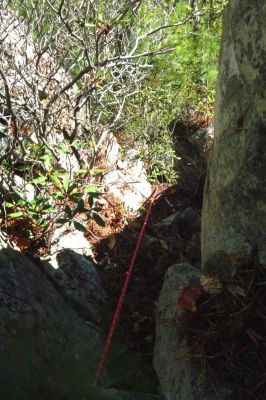 Looking down the rope as Tyler has disappeared over the edge of the Pine tree root and is now on the vertical hanging in air part of the route ! 
