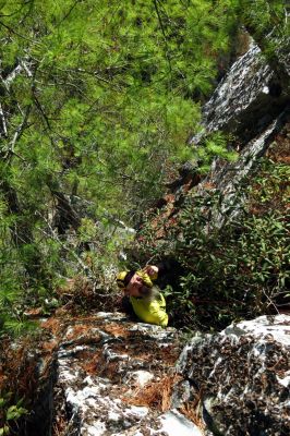 John pauses for a cameo before going over the pine tree root 

