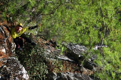 John on the pine tree root 

