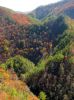 Filename=0306.jpg
Filesize=333KiB
Dimensions=800x1067
Date added=Nov 08, 2016 0306.jpg
