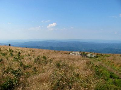 View from Roan balds
Taken 7-11-2010
