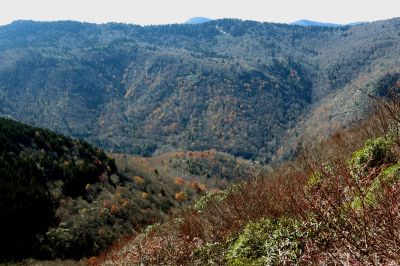 View from Sam Knob View during the ascent of Sam Knob Taken 10-22-2014
