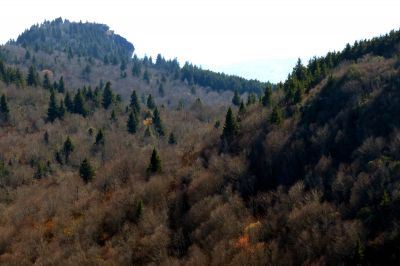 View during the ascent of Sam Knob Taken 10-22-2014
