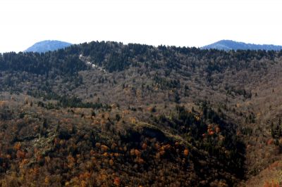 View during the ascent of Sam Knob Taken 10-22-2014
