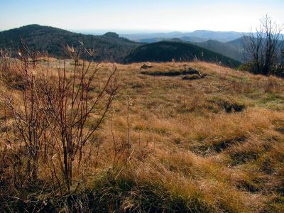 Standing on the South summit of Sam Knob - Taken 10-22-2014
