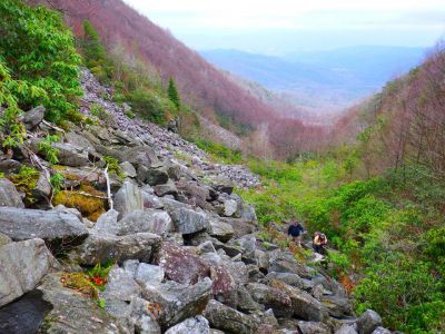 Taken 12-3-2014  (Photo by John Forbes) 
