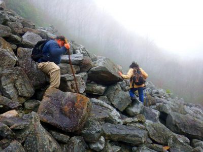 Taken 12-3-2014  (Photo by John Forbes) 
