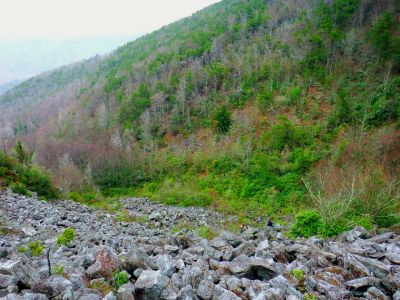 Taken 12-3-2014  (Photo by John Forbes) 
