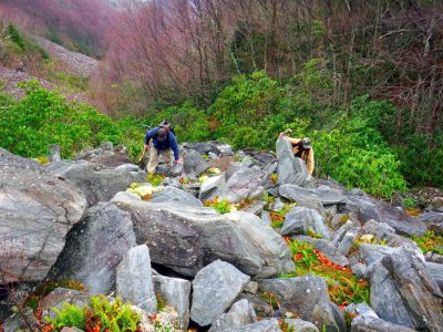 Taken 12-3-2014  (Photo by John Forbes) 
