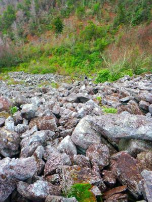 Taken 12-3-2014  (Photo by John Forbes) 
