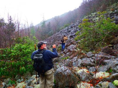 Taken 12-3-2014  (Photo by John Forbes) 
