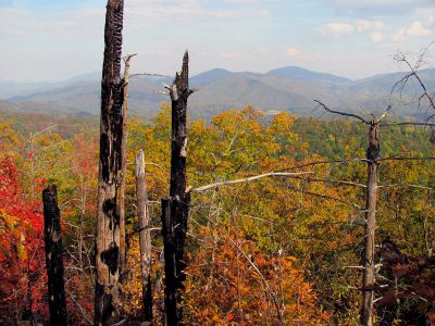 6504_summit_view.jpg