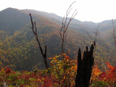 6525_summit_view.jpg