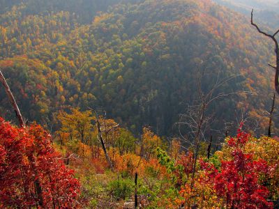 6549_summit_view.jpg