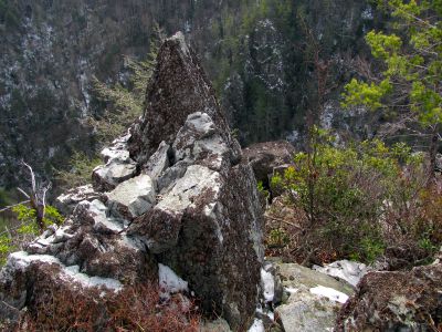 9057.jpg