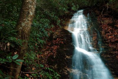 Taken 11-21-2015  (Larry has named these Diane`s Falls after a friend of his)   
