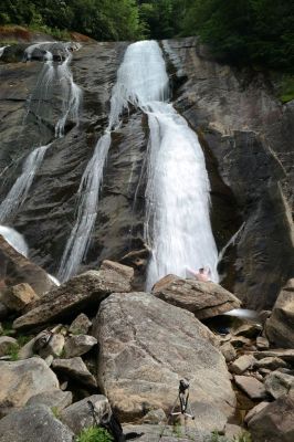 RAT cooling off in the waters of South Harper Falls  (Photo by John Forbes)   Taken 6-5-2015
