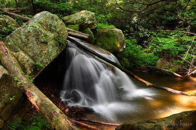Cascades Along Margarette Creek
Photo taken by Ashley Bowen 5-28-2011
