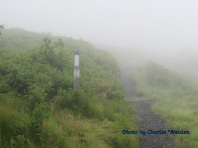 trail_roan_mtn.jpg