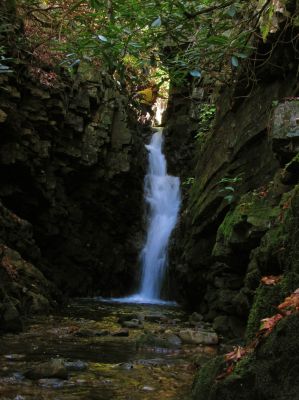 Lower Bailey Falls (taken 10-27-2017) 
