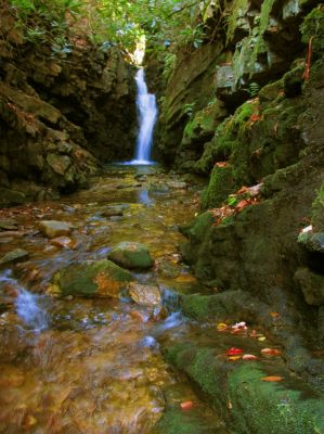 Lower Bailey Falls (taken 10-27-2017) 
