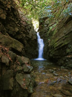 Lower Bailey Falls (taken 10-27-2017) 
