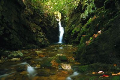 Lower Bailey Falls (taken 10-27-2017) 
