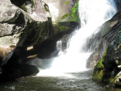 Taken 8-1-2012 
