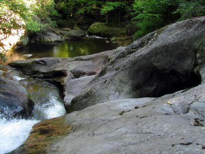 Taken September 2012
