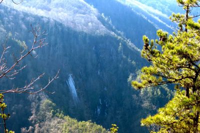 Taken from Chigger Ridge 1-29-2013
