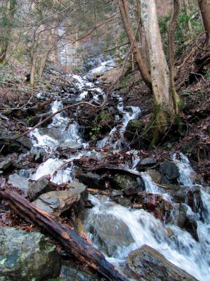 Photo by RAT 2-26-2011
