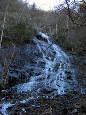 Photo by RAT 2-26-2011
