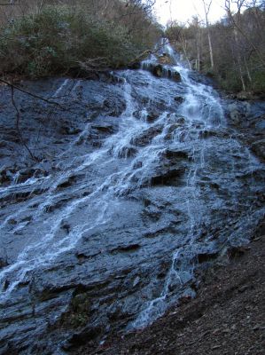 Photo by RAT 2-26-2011
