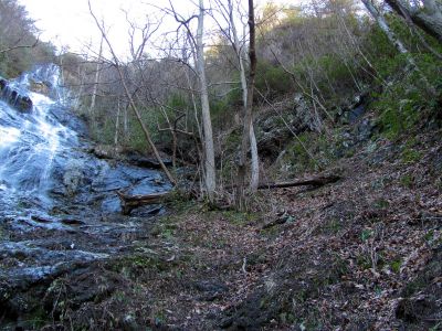 Photo by RAT 2-26-2011
