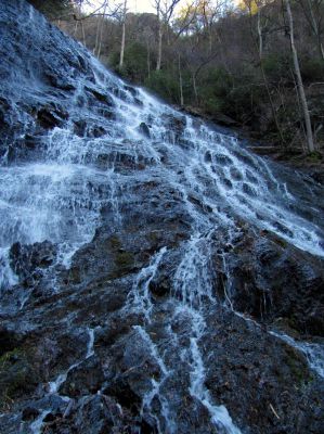 Photo by RAT 2-26-2011
