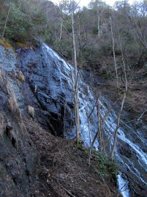 Photo by RAT 2-26-2011
