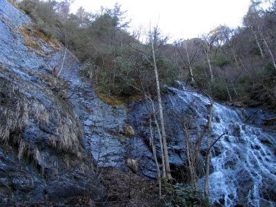 Photo by RAT 2-26-2011
