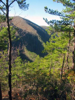 Buckeye Falls as seen from Chigger Ridge - Taken Feb 22- 2014
