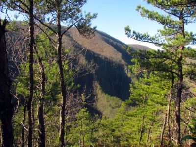 Buckeye Falls as seen from Chigger Ridge - Taken Feb 22- 2014

