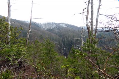 Taken March 30, 2013 from a ridge near the Camp Creek Trail
