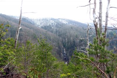 Taken March 30, 2013 from a ridge near the Camp Creek Trail
