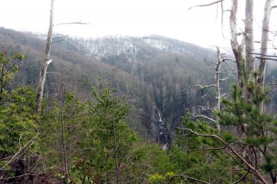 Taken March 30, 2013 from a ridge near the Camp Creek Trail
