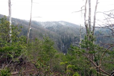 Taken March 30, 2013 from a ridge near the Camp Creek Trail
