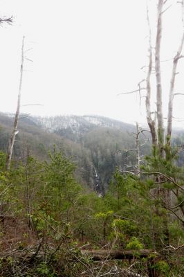 Taken March 30, 2013 from a ridge near the Camp Creek Trail
