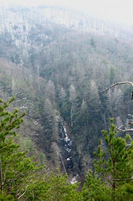 Taken March 30, 2013 from a ridge near the Camp Creek Trail
