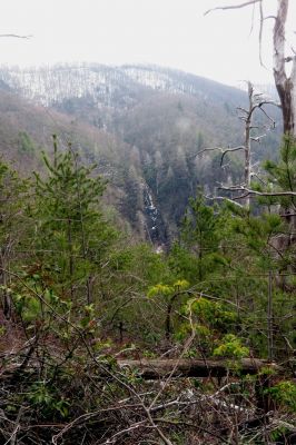 Taken March 30, 2013 from a ridge near the Camp Creek Trail
