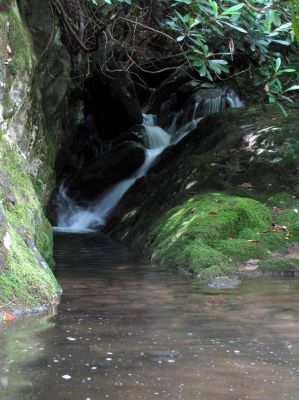 Feeder falls which is the actual Chestnut Cove Branch where it enters into the North Harper Creek at the base of the Chestnut Cove Branch Falls Taken 6-13-2012
