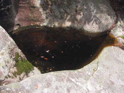 Potholes at top of the falls (complete with a norther watersnake)Taken 6-13-2012
