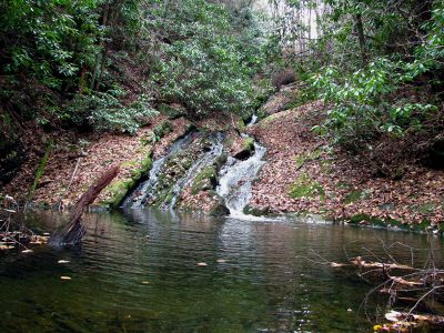 Cody Falls
Taken from the very bottom.  11-20-2010
