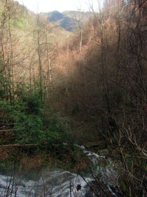 Taken 4-4-2017 Looking down from near top of the falls 
